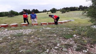 Emette ayılar tarafından kovanları parçalanan yetiştiriciye arkadaşlarından destek