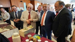 En stratejik ürünlerin başında gelen ‘kenevir Samsunda masaya yatırıldı