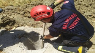 Erdekte çukura düşen yavru domuzun imdadına itfaiye yetişti