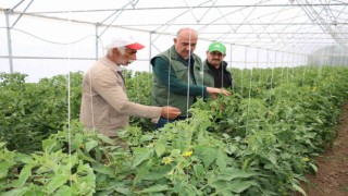 Erzincan son yıllarda yapılan yatırımların meyvelerini toplamaya başladı