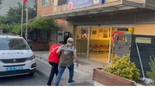 Esenlerde kediyi parçalayan pitbullun sahibi gözaltına alındı