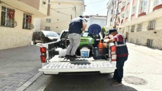 Esenyurt Belediyesinden haşere ve böceklerle etkin mücadele