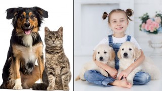 Evde Kedi Köpek Kavgasına Son Vermek Mümkün Mü?