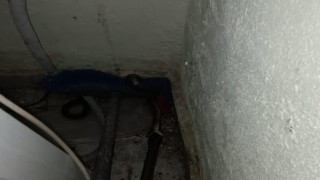 Eve giren yılanı itfaiye yakaladı