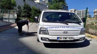 Eyüpsultanda ilaçlama çalışmaları sürüyor