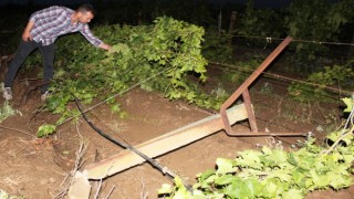 Fırtına minarenin külahını uçurdu, dolu üzüm bağlarını vurdu