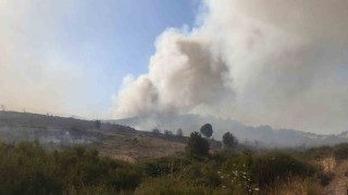Foçadaki yangının arkasından iki sorumsuz çıktı: Yakalandılar