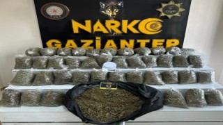 Gaziantepte 56 kilo esrar ele geçirildi