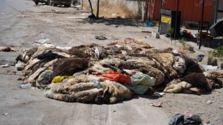 Gaziantepte mide bulandıran görüntüler