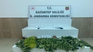 Gaziantepte uyuşturucu operasyonu: 4 gözaltı