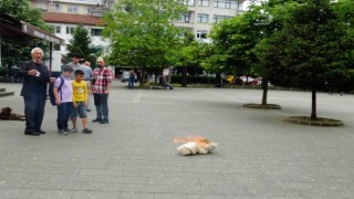 Gazzedeki soykırıma Artvinli akademisyenden dramatik tepki
