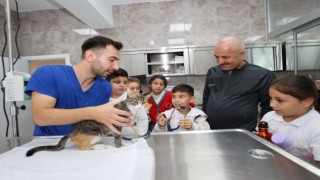 Gebzede 309 patili can yeni yuvalarına kavuştu
