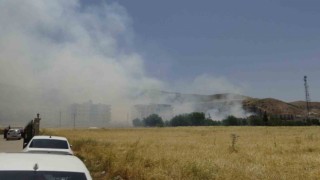 Gercüşte 20 dönüm buğday ve arpa tarlası yandı