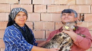 Görme engelli çiftin yaşam azmi: Hayvan otlatıp tarlada çalışıyorlar