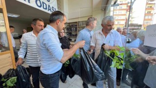 Güneysuda bin 500 fide dağıtıldı