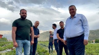 Gürer: “Üreticinin Yanında Bir İktidar Yok”