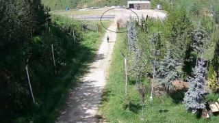 Hafif ticari araç devrildi: 1 ölü 5 yaralı