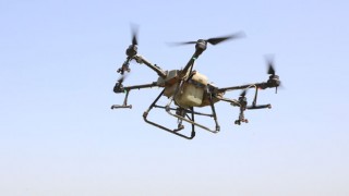 Hatay’da İlaçlama Drone İle Yapılıyor