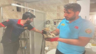 Havalandırma boşluğuna düşen yavru kedi böyle kurtarıldı