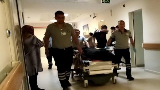 Ihlamur ağacından düşen adam hayatını kaybetti