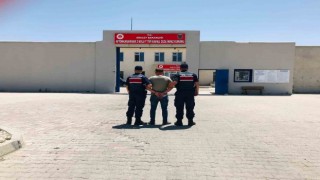 İki ayrı suç kaydından 6 yıl hapisle aranan şahsı jandarma yakaladı