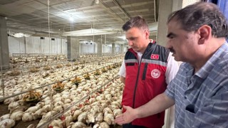 İl Tarım ve Orman Müdürlüğünden Tavuk Çiftliğine Ziyaret