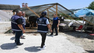 İlkadım zabıtası kurban denetimlerini artırdı