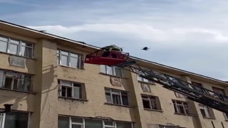 İtfaiye ekiplerinden karga kurtarma operasyonu