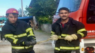 İtfaiye ekiplerinin yılan mesaisi