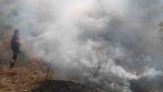 İtfaiyenin hızlı müdahalesi alevlerin antik kente ulaşmasını önledi