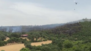 İvrindide orman yangını