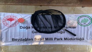 İzinsiz böcek toplayan Rus akademisyene 378 bin 141 lira para cezası