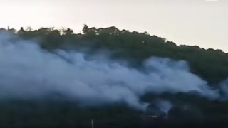 İzmirde ormanlık alanda çıkan yangın kontrol altında