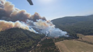 İzmirin Menderes ve Çeşme ilçelerinin ardından Selçuk ilçesi Pamucak mevkiinde de yangın çıktı. Yangına 4 helikopter ve 5 uçak ile havadan ve karadan müdahale ediliyor.