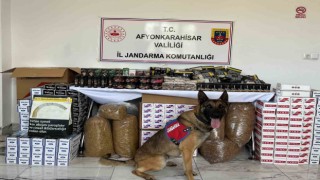 Jandarma 90 bin 800 adet çeşitli markalarda boş makaron ele geçirdi