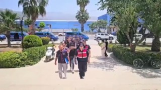 Jandarma ekipleri hayvan hırsızlığı çetesini çökertti: 3 tutuklama