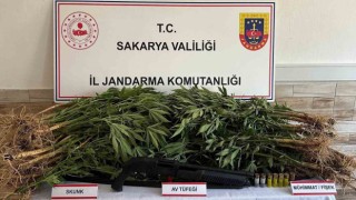 Jandarma uyuşturucuya geçit vermiyor: 5 gözaltı