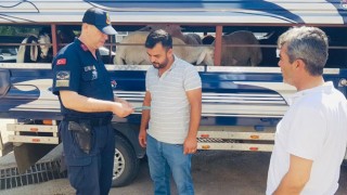 Jandarmadan Kurban Bayramı Öncesi Sahte Para Uyarısı