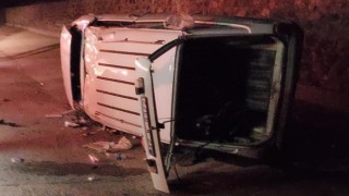 Kara yoluna çıkan domuz kazaya sebep oldu: 1 yaralı