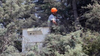 Karabağlar Yaylasında çevre düzenleme çalışmaları devam ediyor