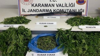 Karamanda kenevir operasyonu: 1 tutuklama