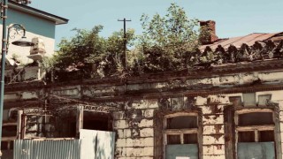 Karsta tarihi binanın üzerinde ağaç yetişti
