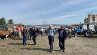 Kastamonuda hayvan pazarında Kurban Bayramı öncesinde hareketlilik