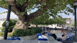 Kavurucu sıcağa çözüm 259 yıllık doğal klima