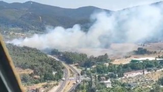 Kemalpaşada orman yangını
