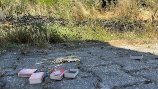 Kibritle oynayan çocuklar yangın çıkardı: Erken müdahale faciayı önledi