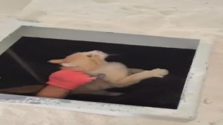 Kimyasal makinesinin içine düşen kedi son anda kurtarıldı