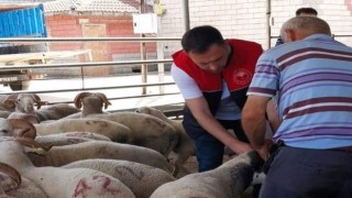 Kırklarelinde kurbanlık hayvan satış yerleri denetlendi