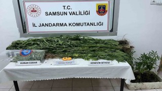 Kıyafetleri ele verdi