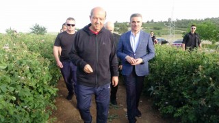 KKTC Cumhurbaşkanı Ersin Tatar: Gül bir kültürdür